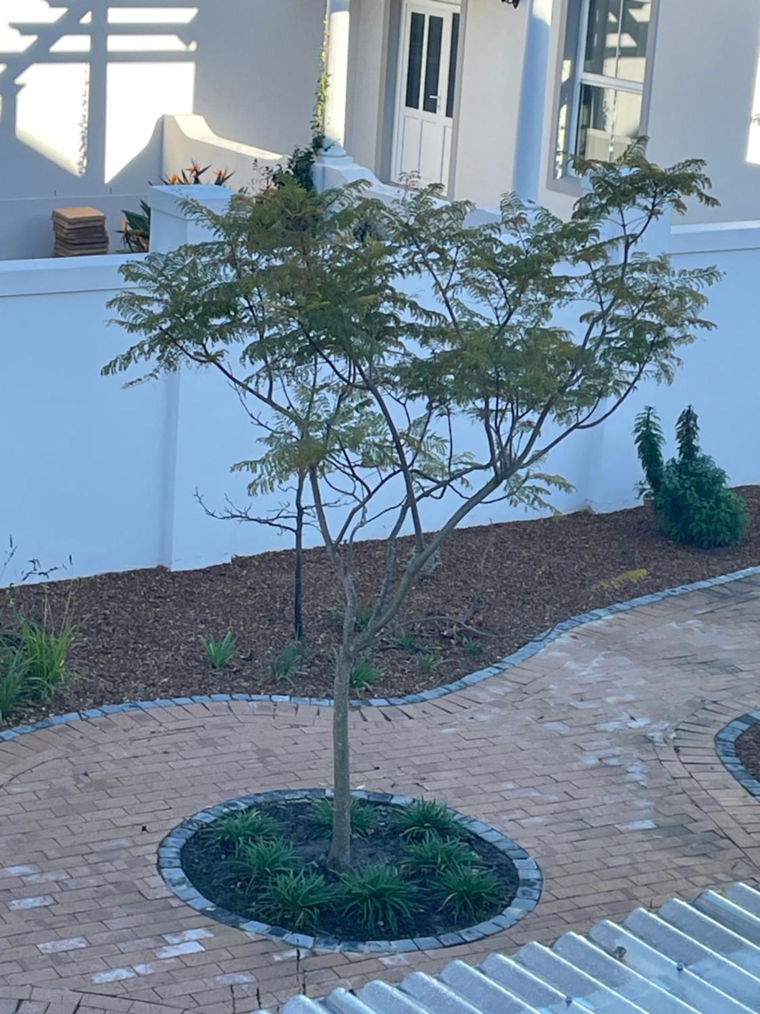 Largest One Bed Apartment & Private Pool In The Hoek Franschhoek Exterior foto