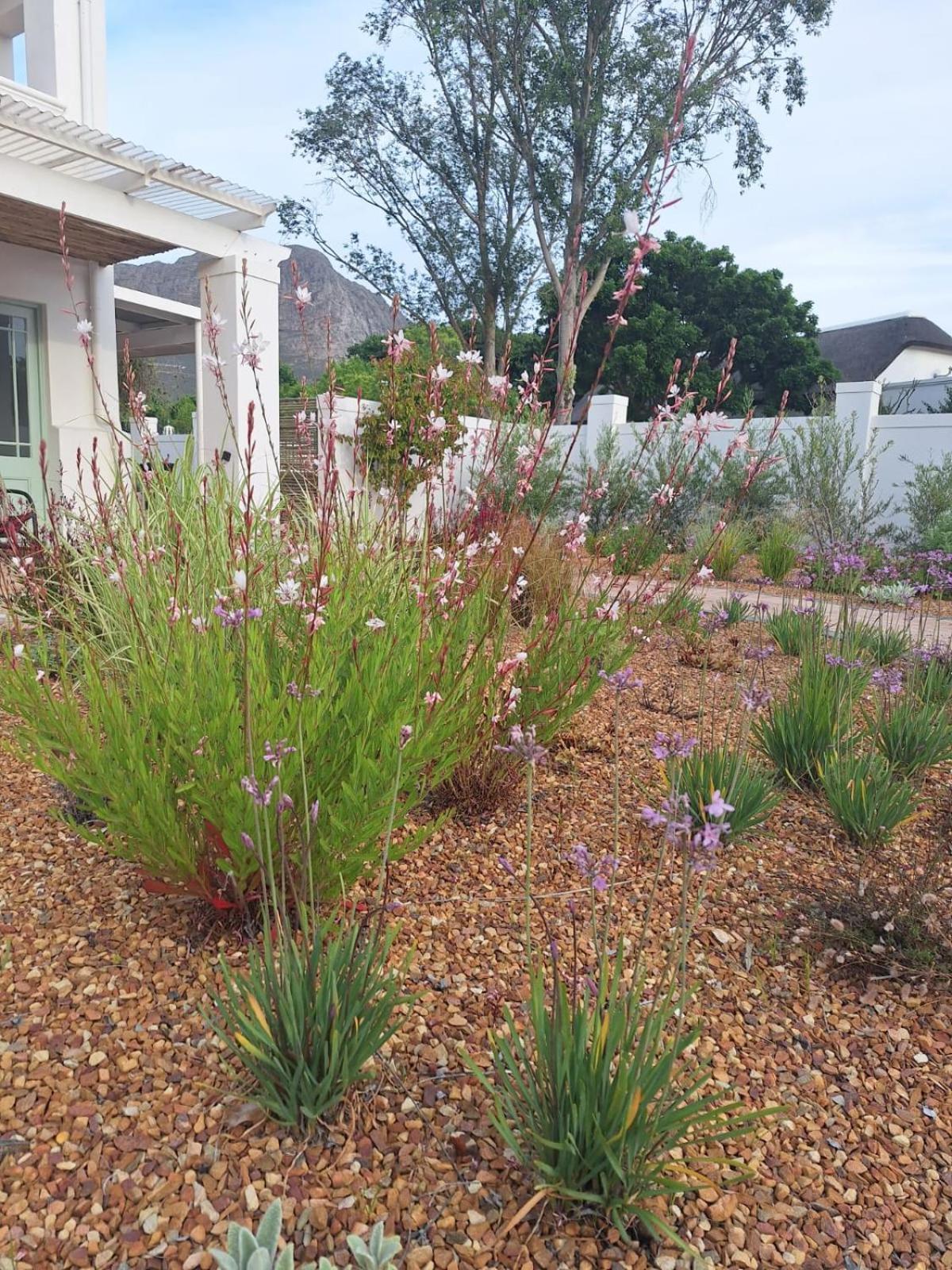 Largest One Bed Apartment & Private Pool In The Hoek Franschhoek Exterior foto